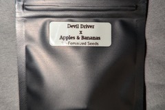 Sell: Devil Driver x Apples & Bananas