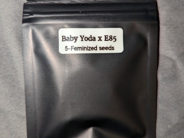Vente: Baby Yoda x E 85