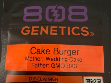 Venta: Cake Burger By 808 Genetics