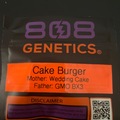 Sell: Cake Burger By 808 Genetics