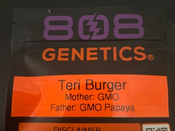 Vente: Teri Burger By 808 Genetics