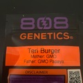 Sell: Teri Burger By 808 Genetics