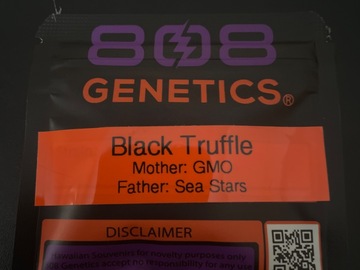 Vente: Black Truffle By 808 Genetics