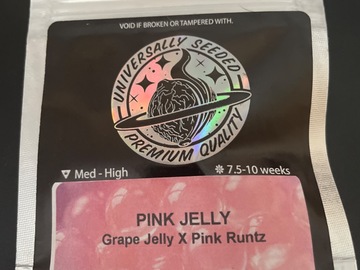 Sell: Pink Jelly By Universally Seeded