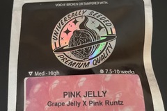 Sell: Pink Jelly By Universally Seeded