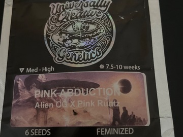Sell: Pink Abduction By Universally Seeded