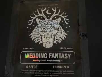 Vente: Wedding Fantasy By Cult classic Seeds