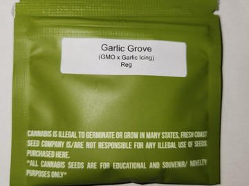 Venta: Garlic Grove from Fresh Coast Seed Co