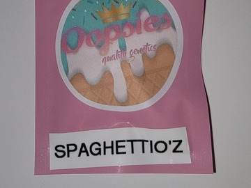 Vente: SpaghettiOz 10 pack reg