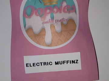 Venta: Electric Muffinz 10 pack reg