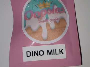 Sell: Dino Milk 10 pack reg
