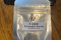 Vente: CSI HUMBOLDT - T-1000 x TRIANGLE KUSH