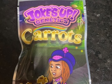 Vente: Carrots By Jokes Up Genetics