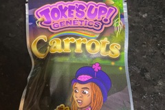 Sell: Carrots By Jokes Up Genetics