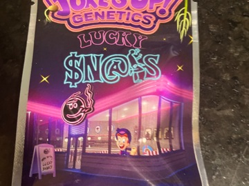 Venta: Lucky Snacks By Jokes up Genetics