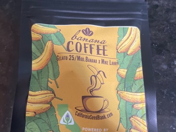 Venta: Banana Coffee By skunk house Genetics