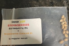 Sell: Dead Hot Strawberries by Oni Seed Co