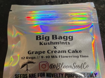 Sell: Big Bagg By Bloom seed co