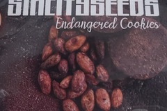 Sell: Endangered cookie by sin city sealed 15 seed cacao cookie!