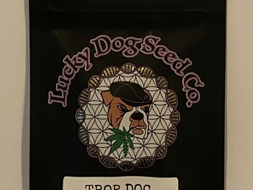 Vente: Lucky Dog Seeds - Trop Dog