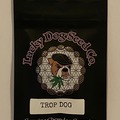 Vente: Lucky Dog Seeds - Trop Dog