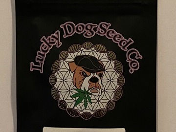 Sell: Lucky Dog Seeds - Western Star