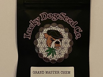 Venta: Lucky Dog Seeds - Grand Master Chem