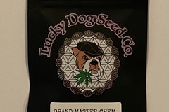 Vente: Lucky Dog Seeds - Grand Master Chem