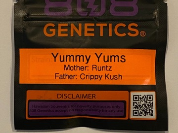 Venta: 808 Genetics - Yummy Yums