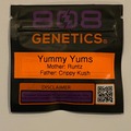 Sell: 808 Genetics - Yummy Yums