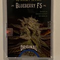 Vente: DJ Short - Blueberry F5 + Flo F5