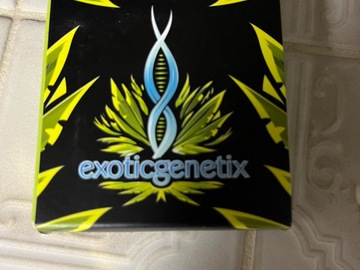 Sell: Exotic Genetix-Popscotti