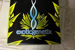Sell: Exotic Genetix-Popscotti