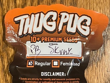 Vente: PB Skunk - Thug Pug
