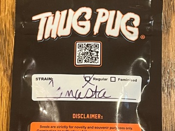 Sell: Canasta - Thug Pug