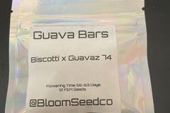 Sell: Guava bars by Bloom seed co