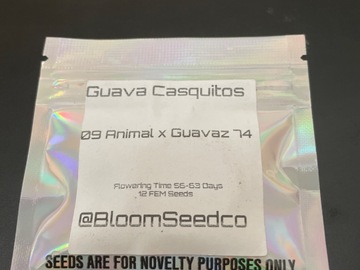 Venta: Guava casquitos By bloom seed co