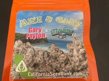 Sell: Mike & Gary By Skunk House Genetics