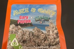 Sell: Mike & Gary By Skunk House Genetics