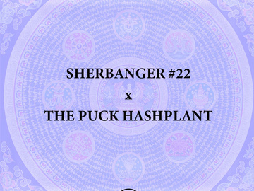 Vente: Sherbanger #22 x The Puck BC3