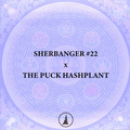 Sell: Sherbanger #22 x The Puck BC3