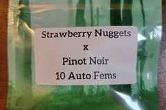 Venta: Strawberry nuggets x pinot noir - 10 auto fems