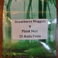 Vente: Strawberry nuggets x pinot noir - 10 auto fems