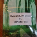 Venta: Platinum Kush Breath S1 - 10 photo fems