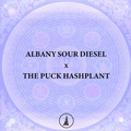 Sell: Albany Sour Diesel x THE PUCK BC3