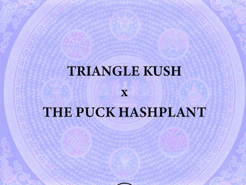 Sell: Triangle Kush x THE PUCK BC3