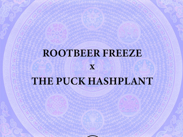 Vente: Rootbeer Freeze x The Puck Hashplant