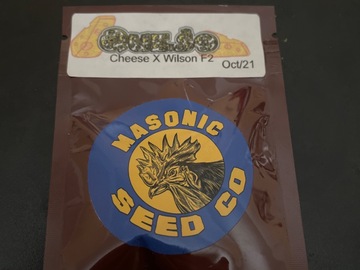 Sell: Queso By Masonic Seeds