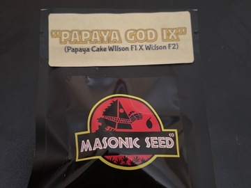 Venta: Papaya God IX By Masonic Seeds