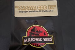 Venta: Papaya God IX By Masonic Seeds